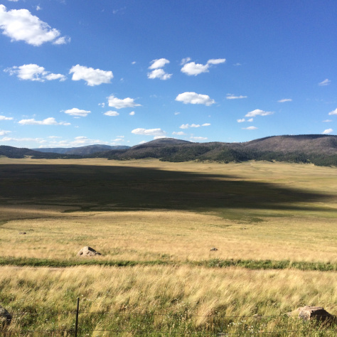 Valle Grande, Valles Caldera, Bandelier