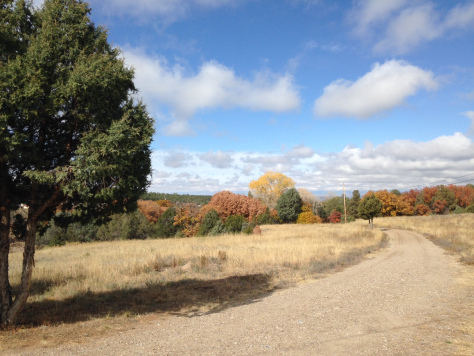 high-road-gallery-property Charlee Newman's gallery property -- fall