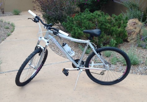 my-bike-e1407356579157 There are many like it but this one is mine.